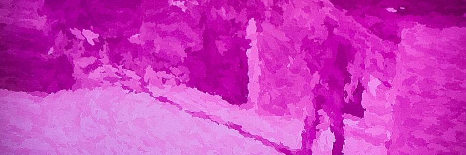 neelsj's profile banner image