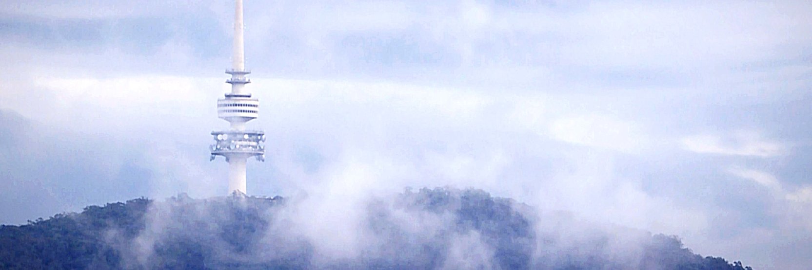 Emma Larouche banner
