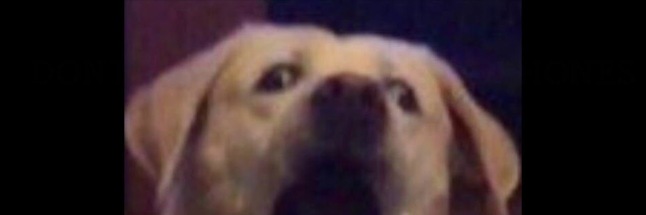 niclashue's profile banner image