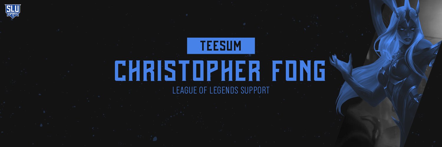 TeesumLoL's profile banner image