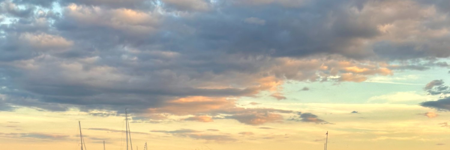 themuroff's profile banner image