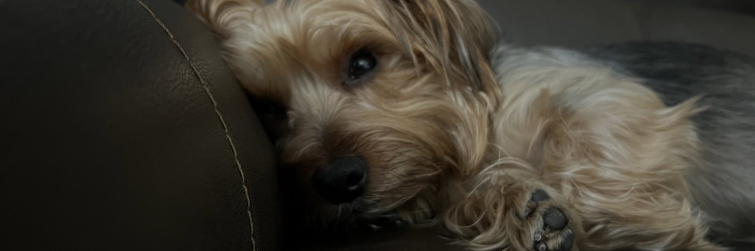 Aly_OCh's profile banner image