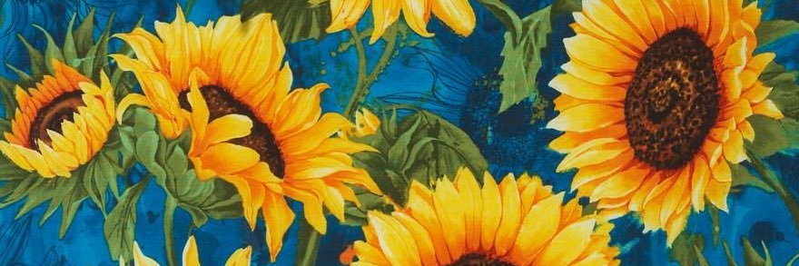 alylou9820's profile banner image