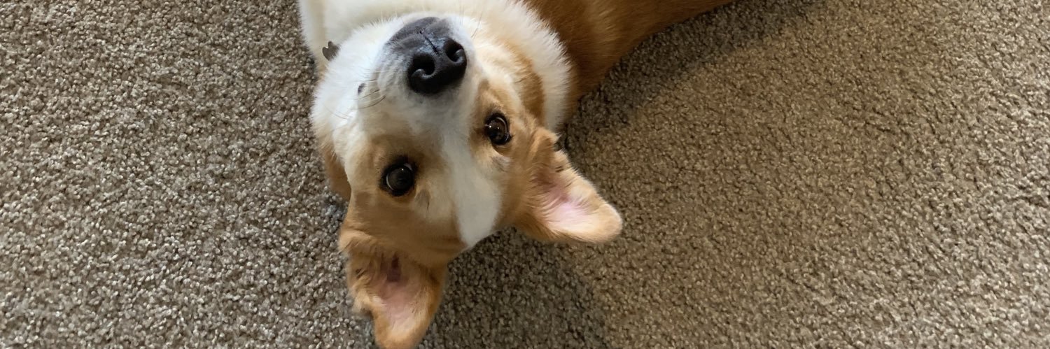 Isaac Wheeler banner