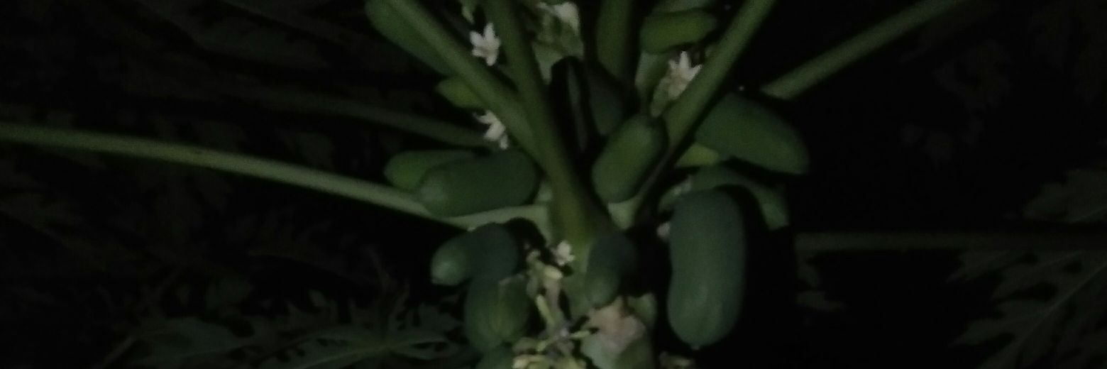 ไอ ด้อน แคร์เดอะฟัก banner