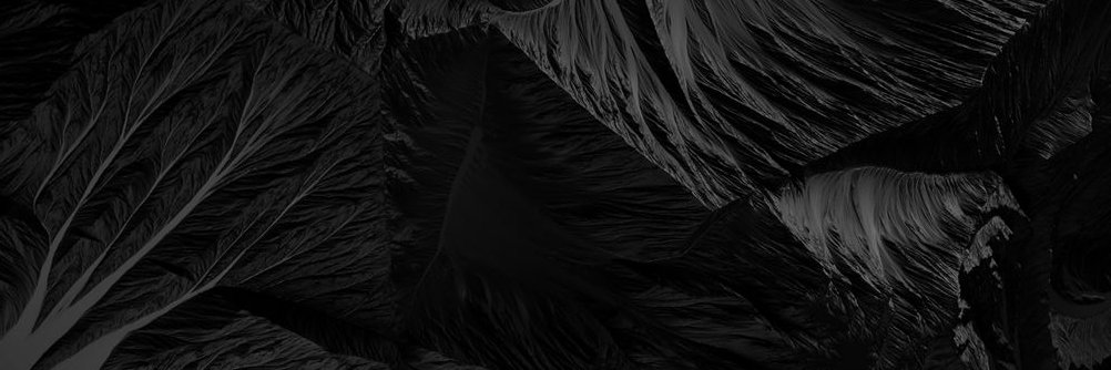 elizabeth__mdo's profile banner image