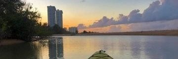 suncapitalkayak's profile banner image