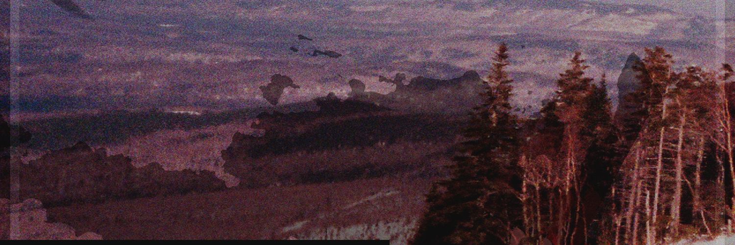 bokeii's profile banner image