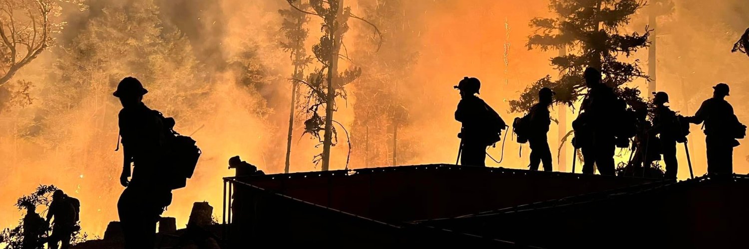 Grayback Forestry banner