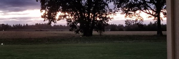 elysefleck Profile Banner