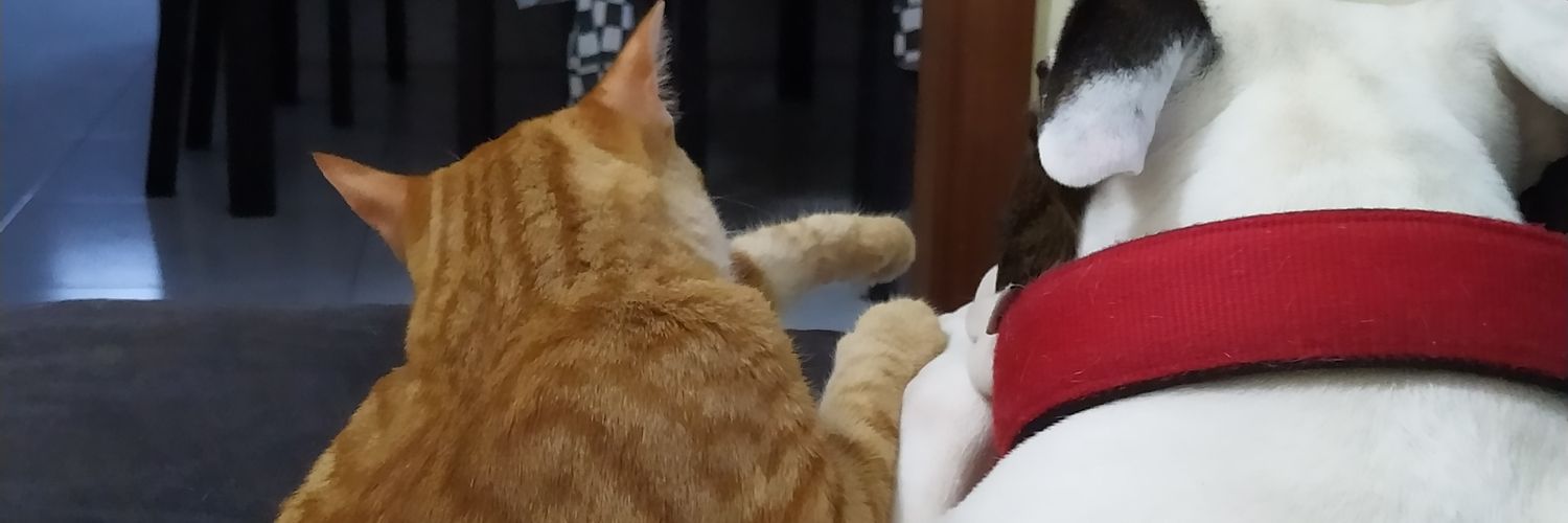 sugiber1's profile banner image