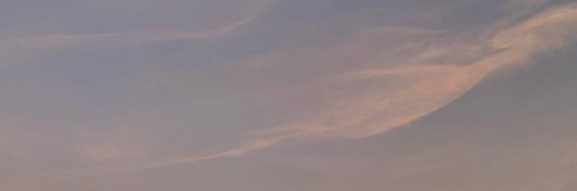 caffeinearchive's profile banner image