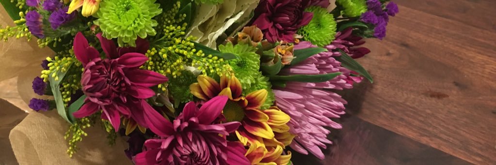 Dr. Kathy Gull banner