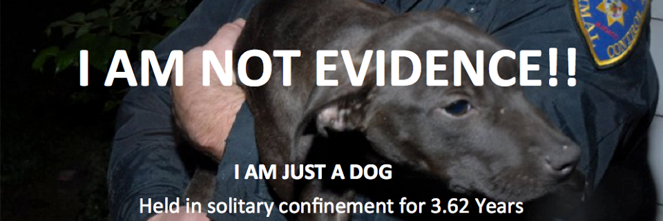 SaveMKECCDogs's profile banner image