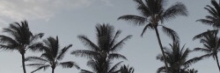 Mendeslovinxo's profile banner image