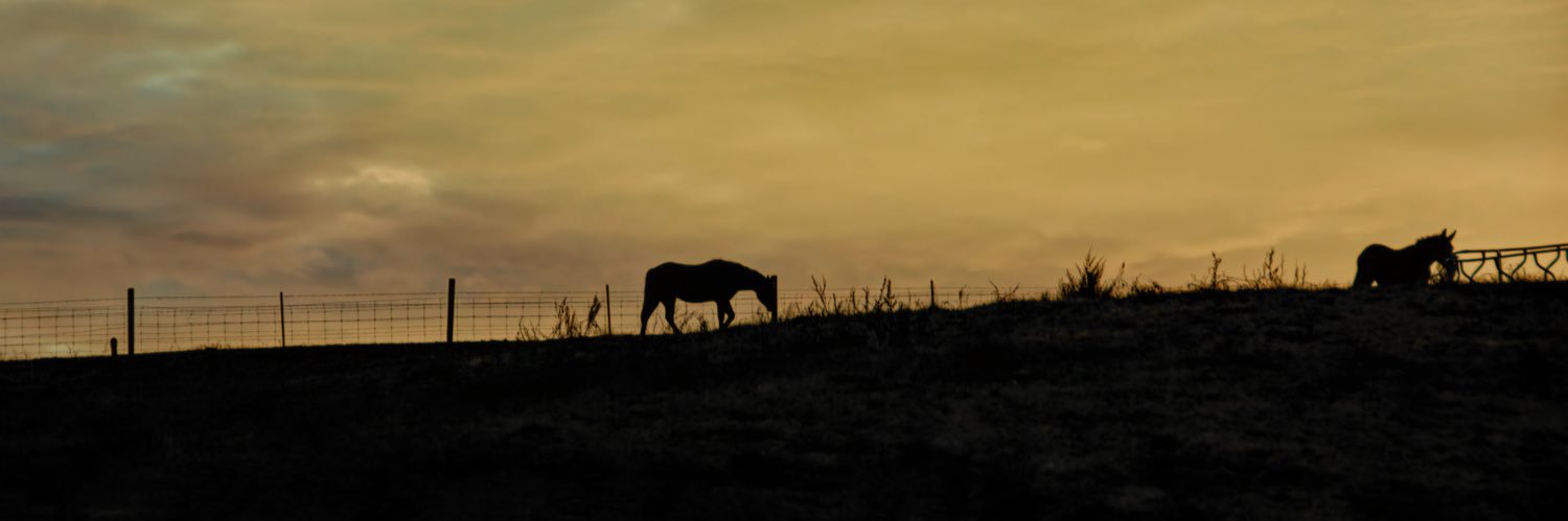 kerrrgin's profile banner image
