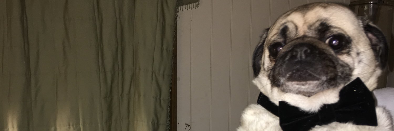 faayebest's profile banner image