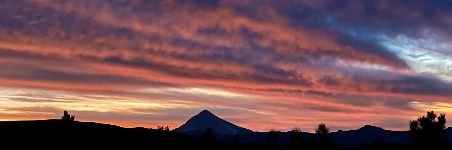 loree_juarez's profile banner image