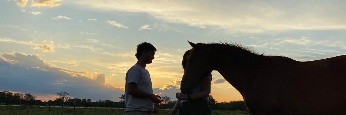 Cami_Lancuba's profile banner image