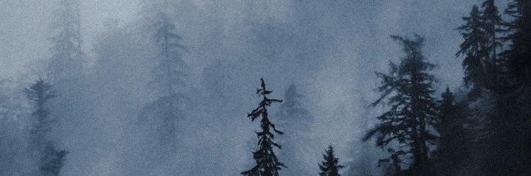 mad_murky's profile banner image