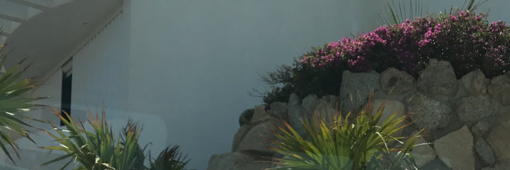 Kizzyy banner