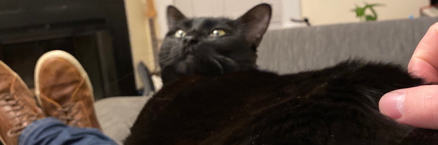 kirrbeee's profile banner image
