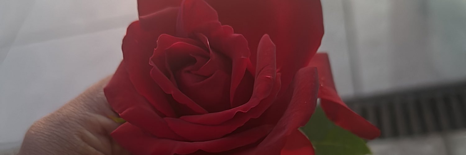 beazuuda's profile banner image
