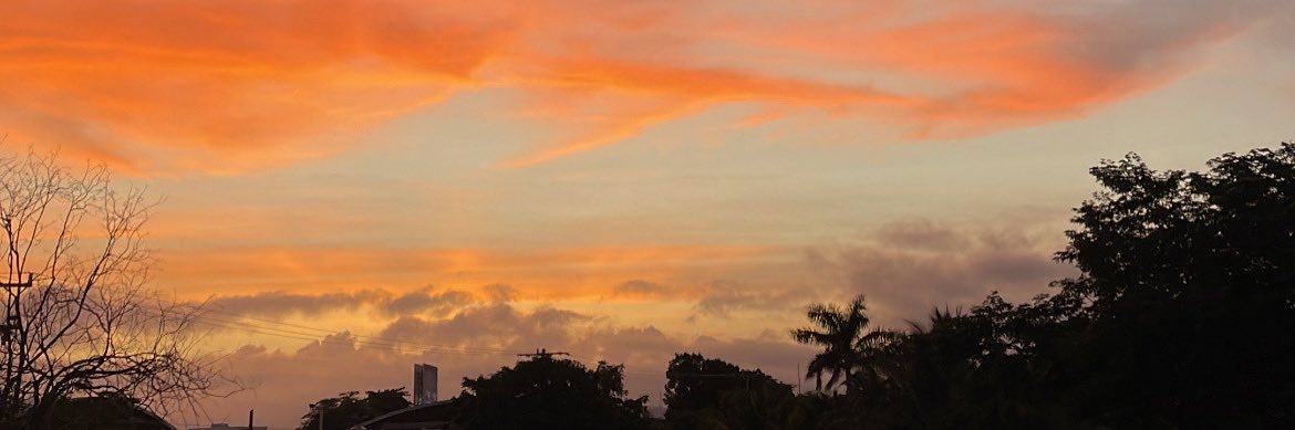 OsaldeRaisa's profile banner image