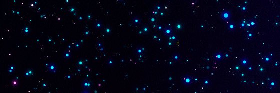 Johnny_scholle's profile banner image