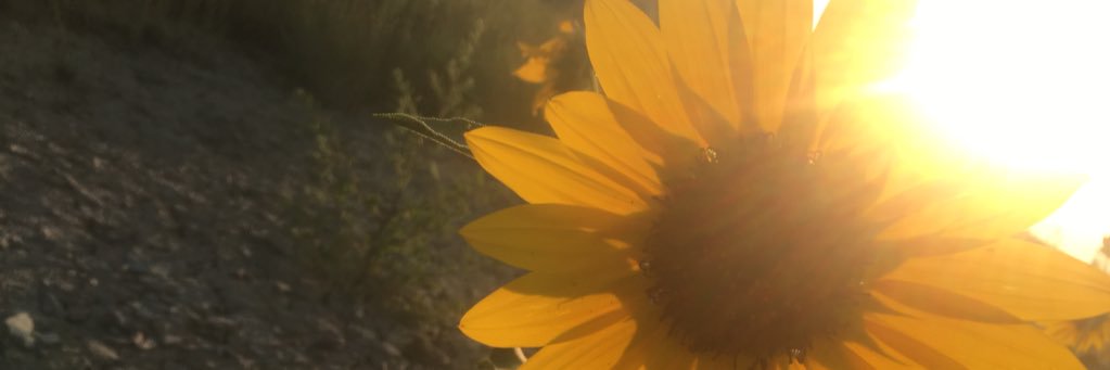 Cati576's profile banner image