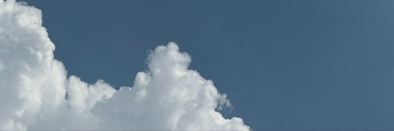snttxn's profile banner image