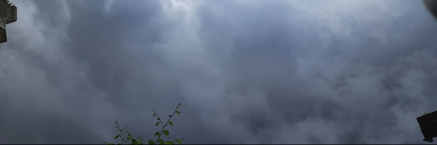 ZerousernameBee's profile banner image