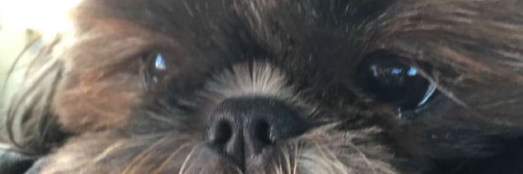 ccollin5's profile banner image