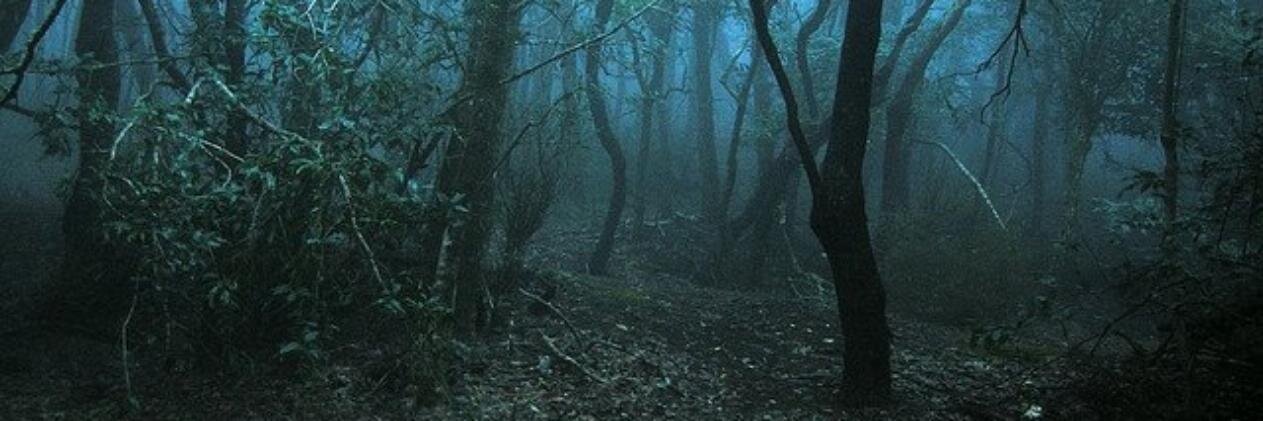jaireth231's profile banner image