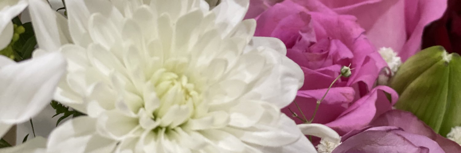 moony_34b's profile banner image