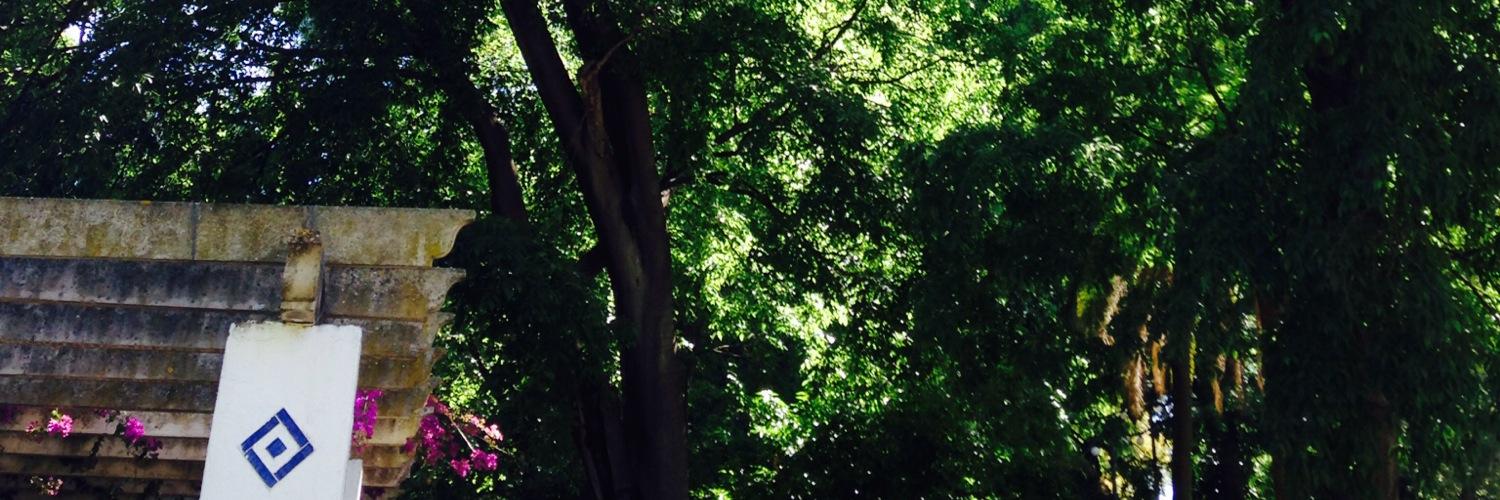 Mariamtoday's profile banner image