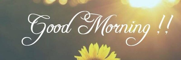 mon_estar Profile Banner