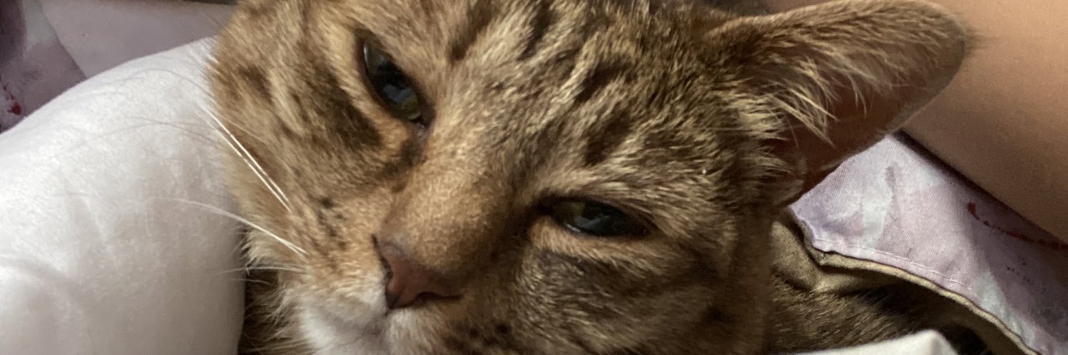 pinkynami's profile banner image