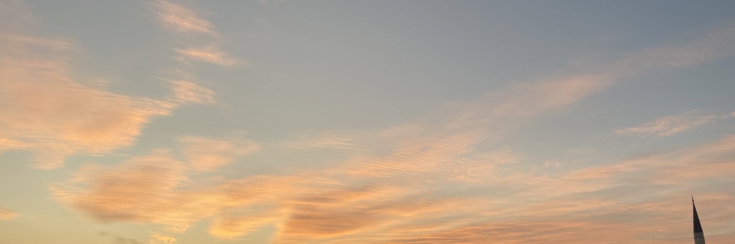 pelinatbas's profile banner image
