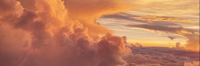 ngynwh's profile banner image