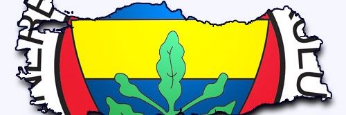 dilmenebu's profile banner image