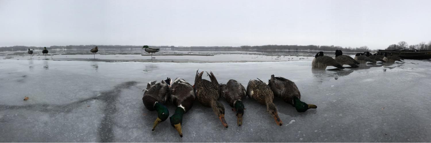 Cheyenne Reynolds banner