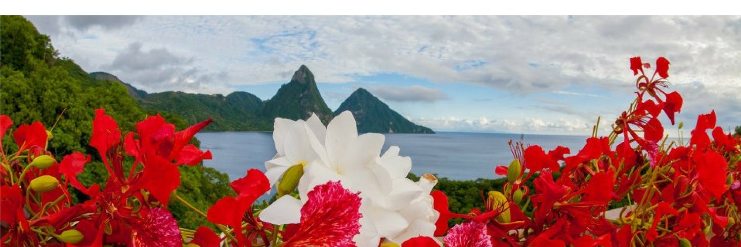 𝓙𝓮𝓶𝓶𝓮 banner