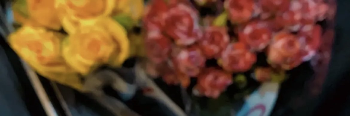 Dl3Bnat11's profile banner image