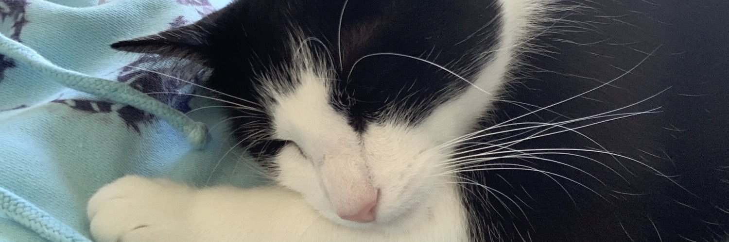 TheOriginalCass's profile banner image