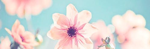 mdiaz112192's profile banner image