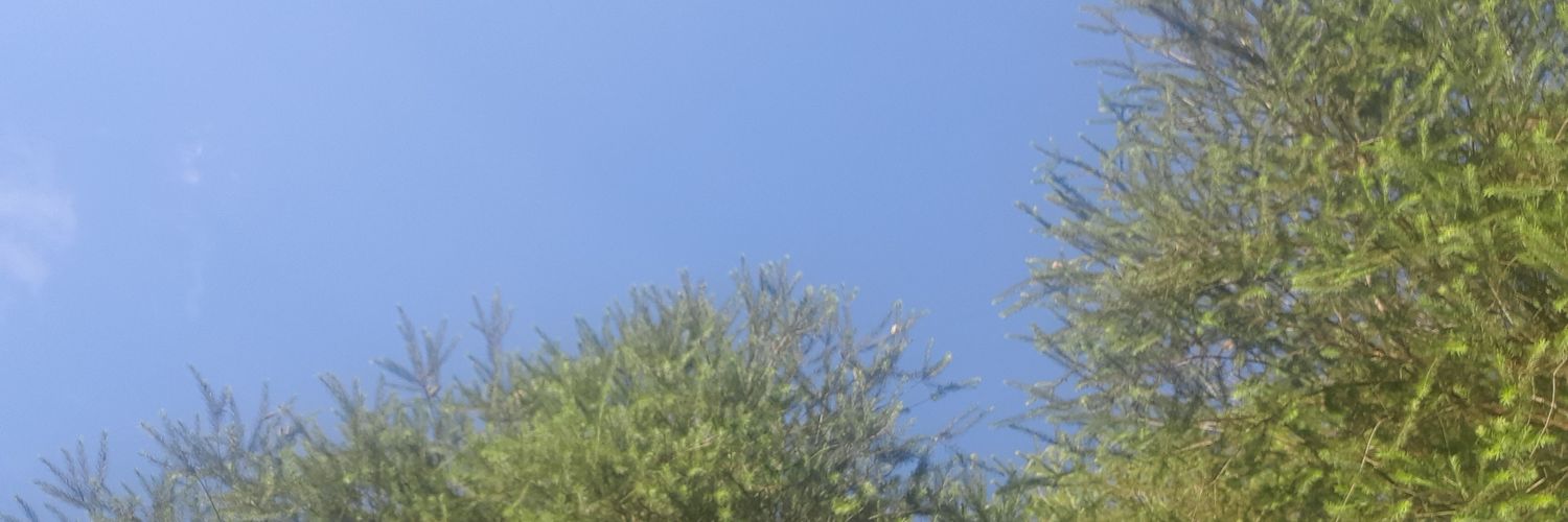 Juliet Nakato banner