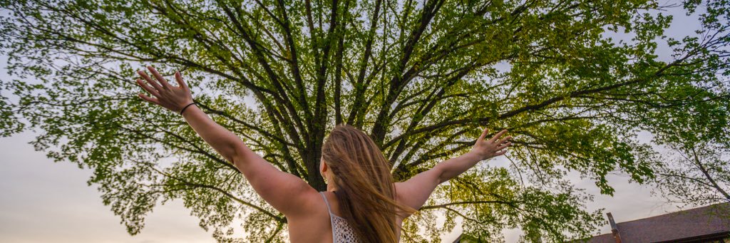 Alyfly13's profile banner image