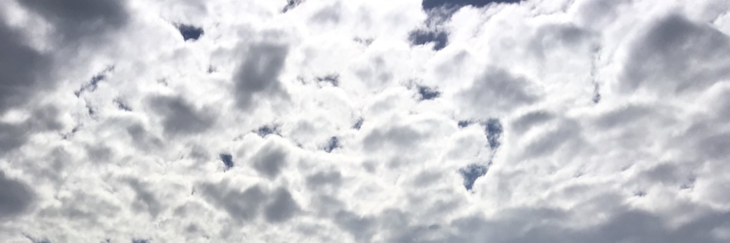 Ma_Corrotea's profile banner image