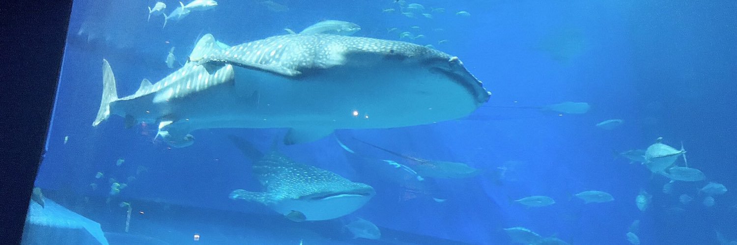 しい@取引垢 banner